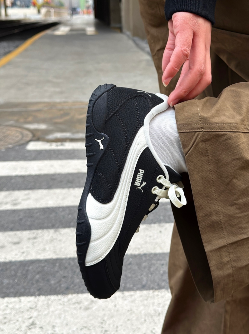 截圖 2026-02-10 下午3.52.21_0