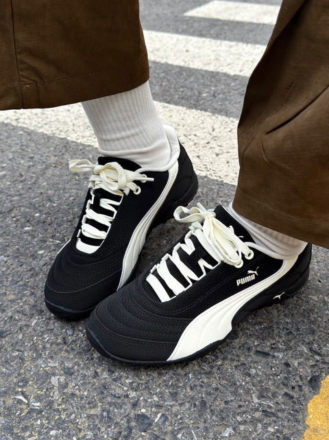 截圖 2026-02-10 下午3.52.06_0