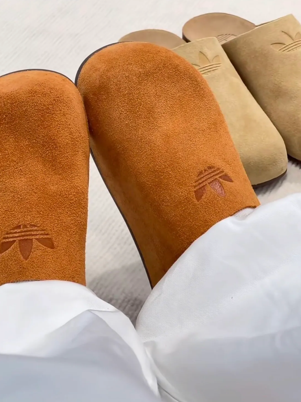 截圖 2026-02-10 下午5.13.20_0