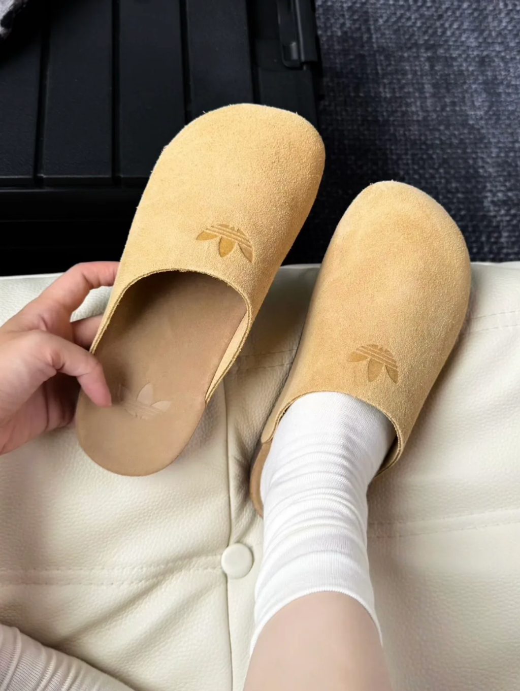 截圖 2026-02-10 下午5.13.11_0