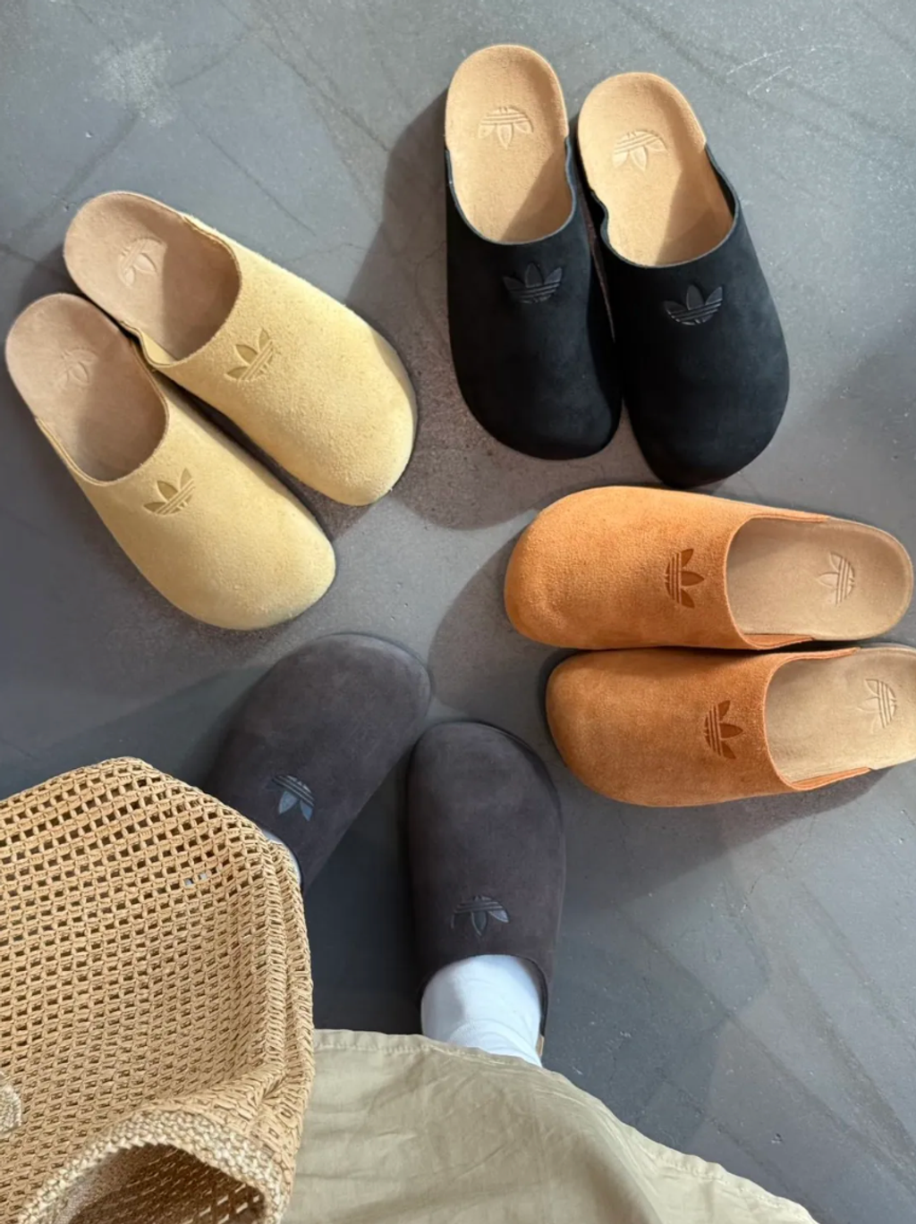 截圖 2026-02-10 下午5.12.35_0