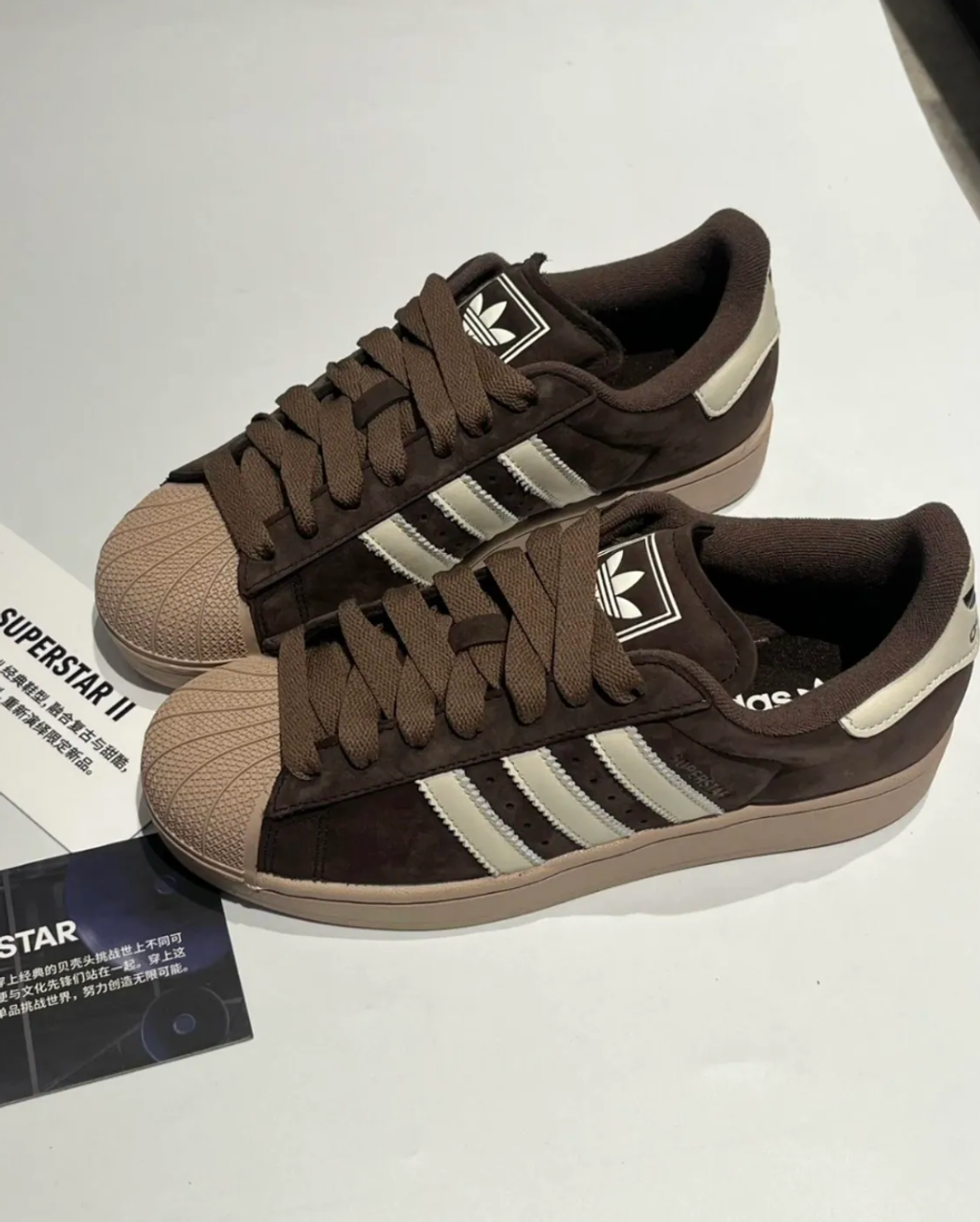 截圖 2026-02-12 中午12.01.06_0