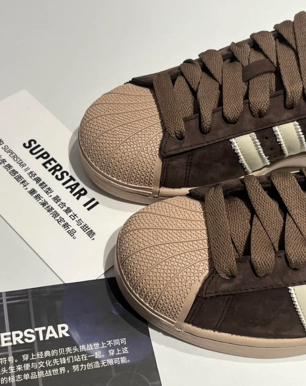 截圖 2026-02-12 中午12.01.19_0