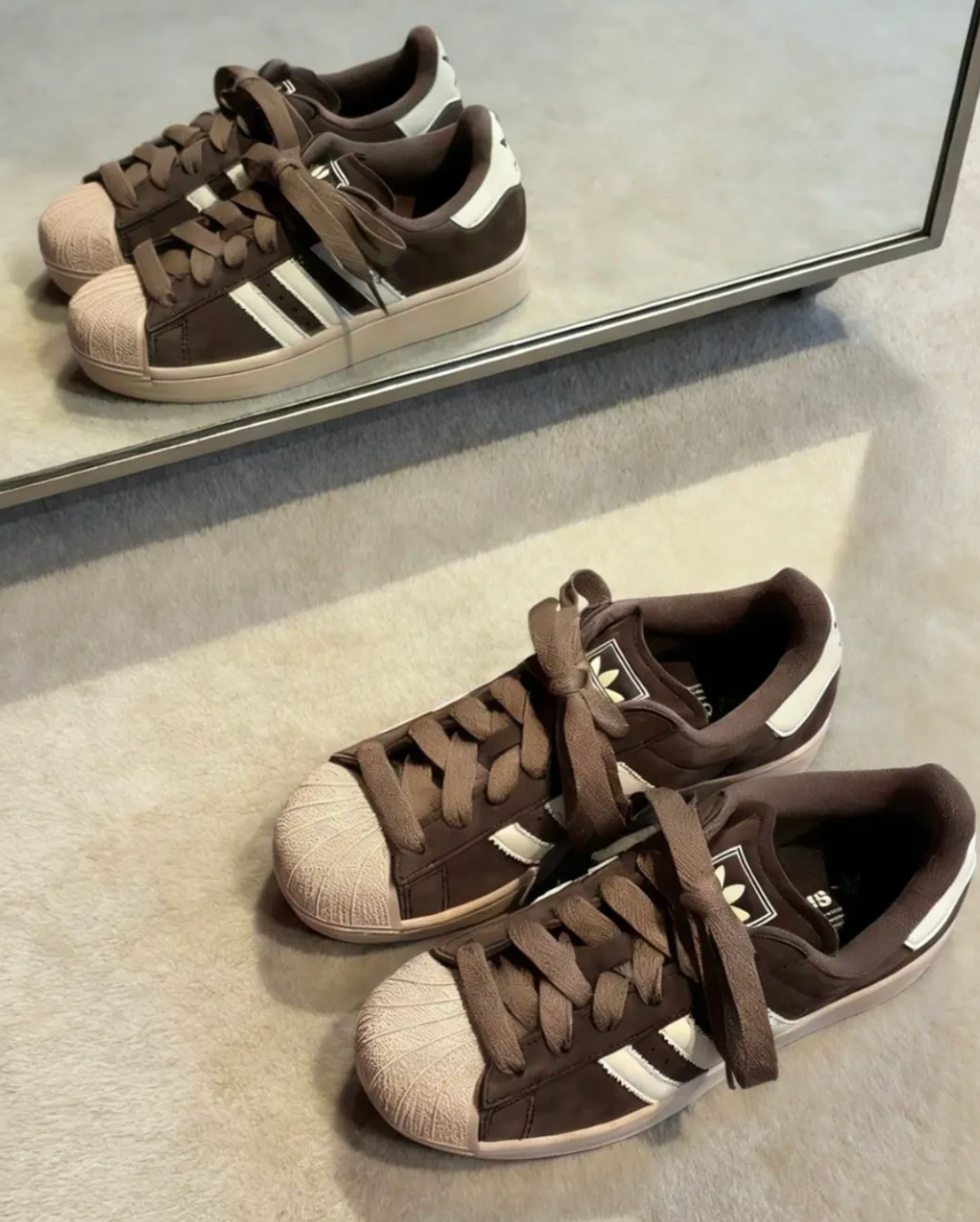 截圖 2026-02-12 中午12.01.32_0