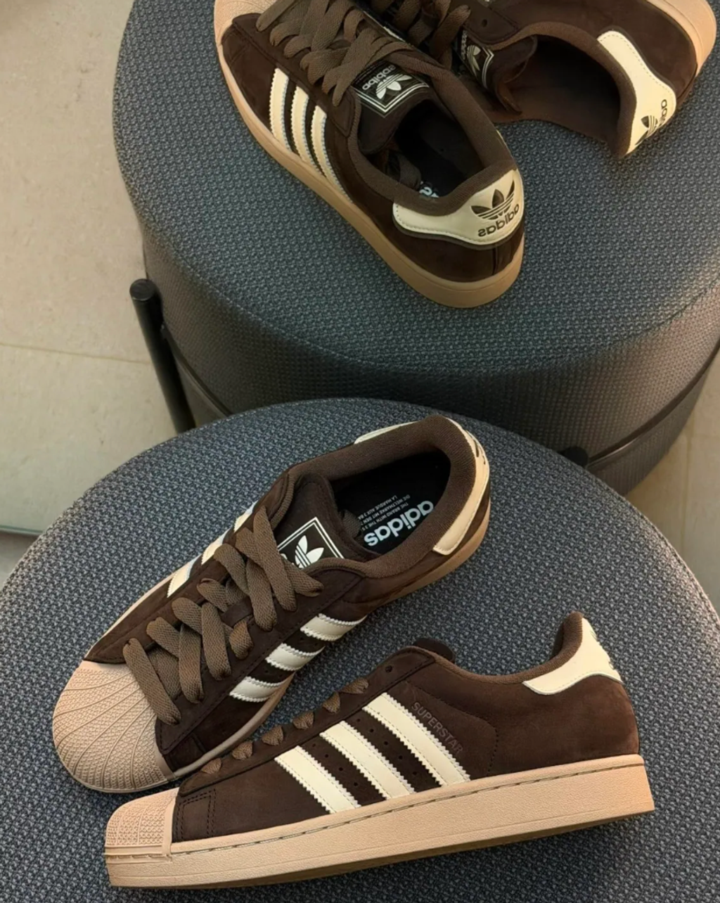 截圖 2026-02-12 中午12.01.47_0