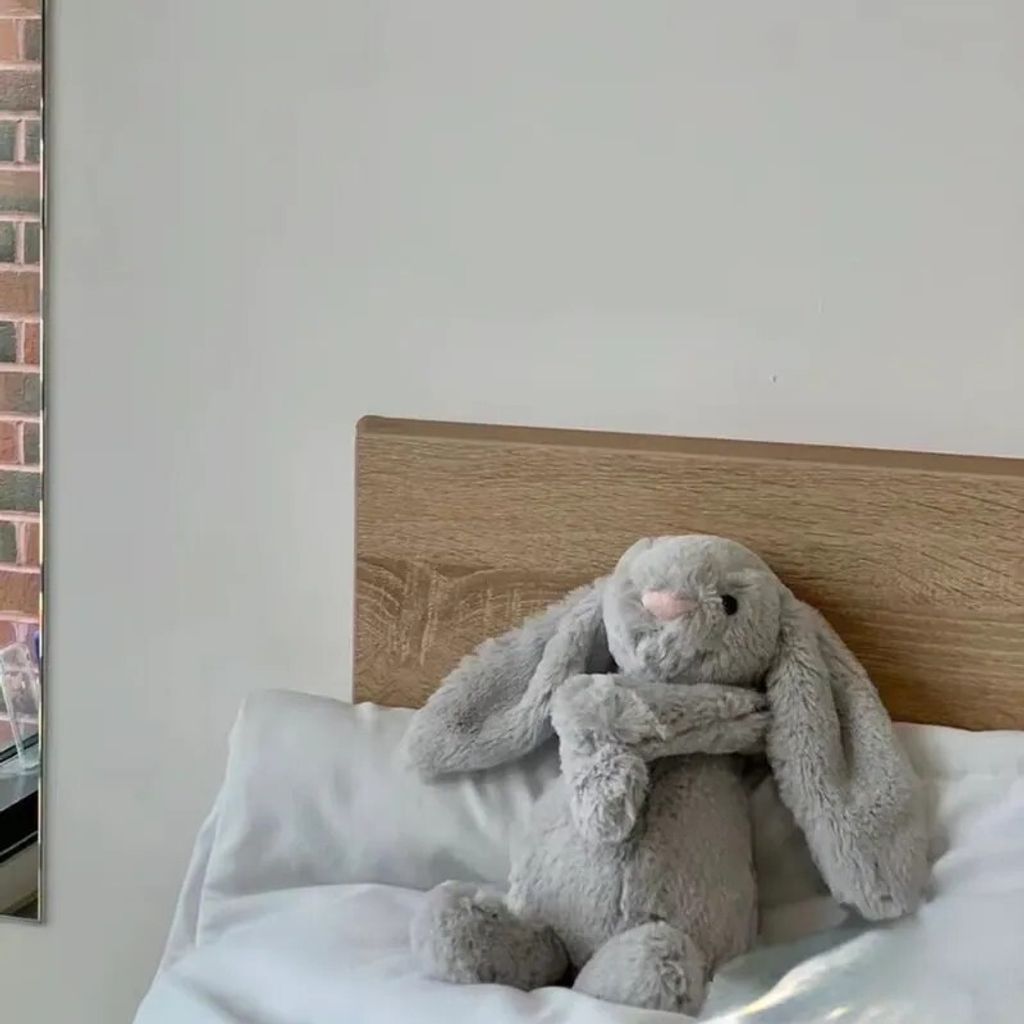 messageImage_1772002574510_0