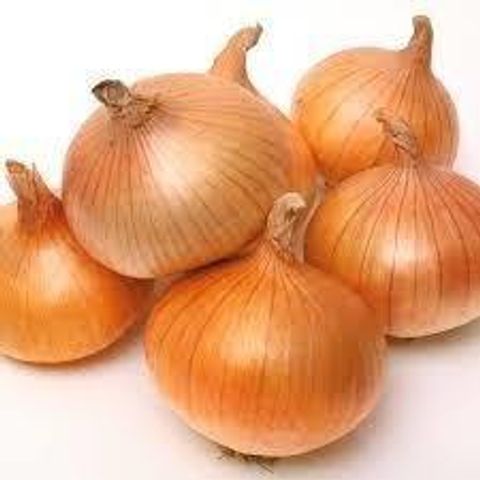bawang holland.jpeg