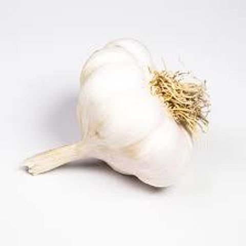 garlic.jpeg