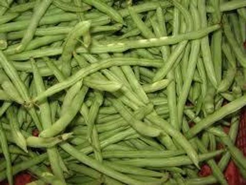 kacang buncis.jpeg