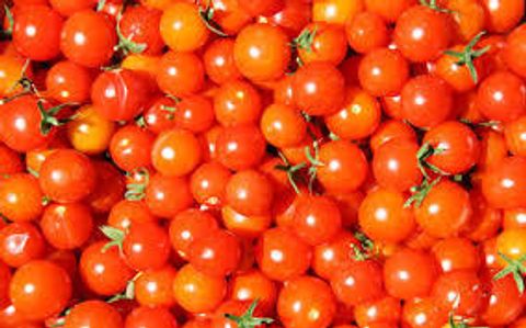 tomato.jpeg