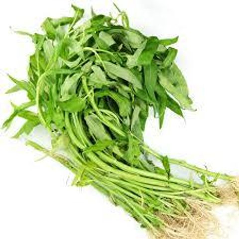 kangkung.jpeg