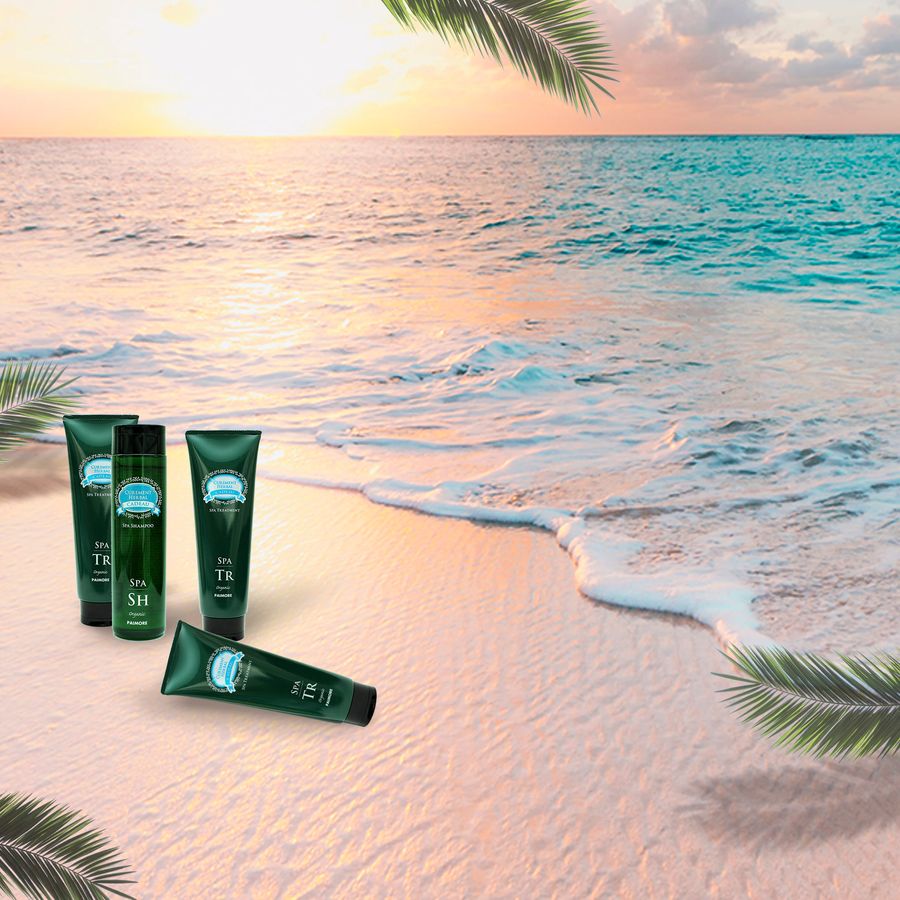 PAIMORE 日系專業髮品 | 禮物系列