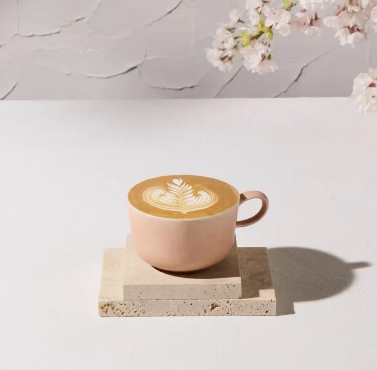 image_9C1AD9A1-175B-4F54-9020-182A19CEA394_1772968490