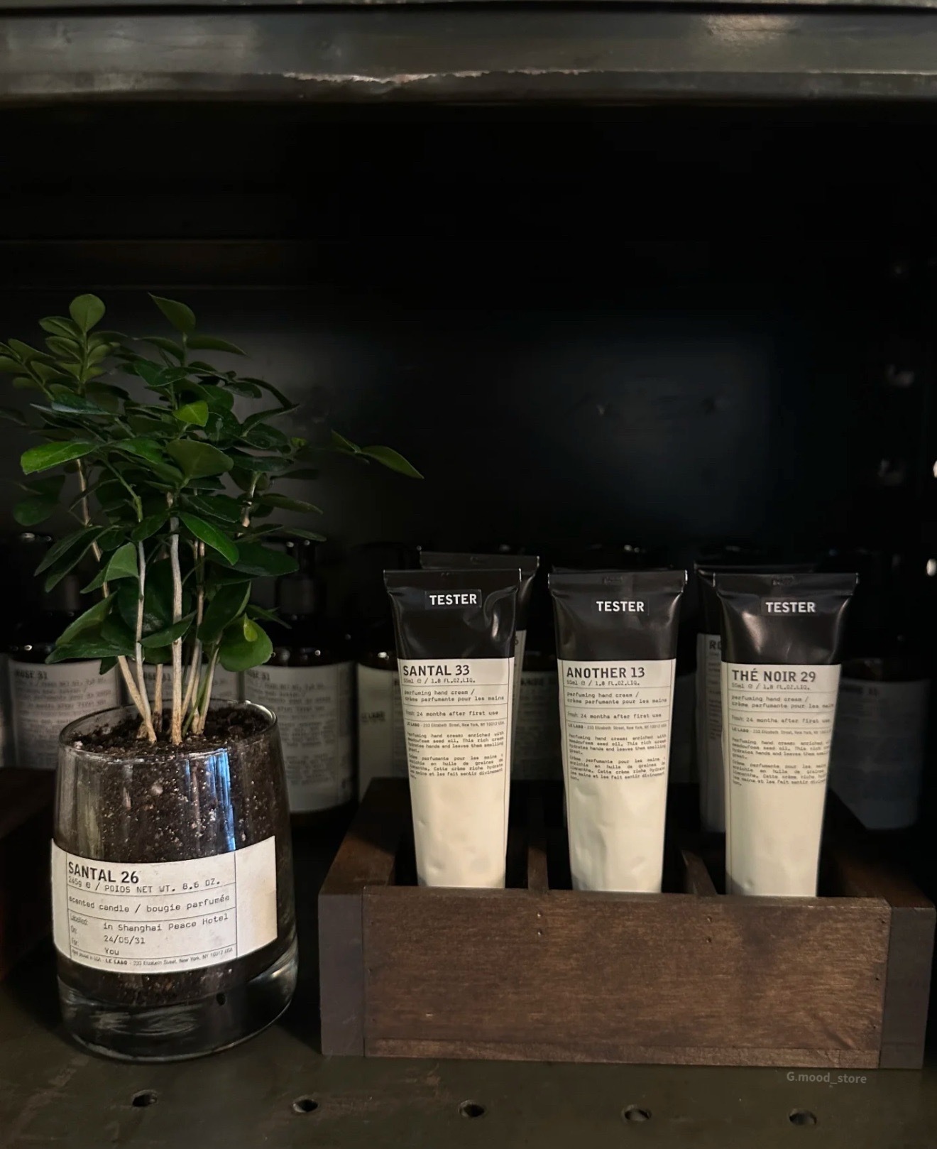 image_BFDBB411-9BE8-48DB-B4DA-5DD2A00A7236_1757000353