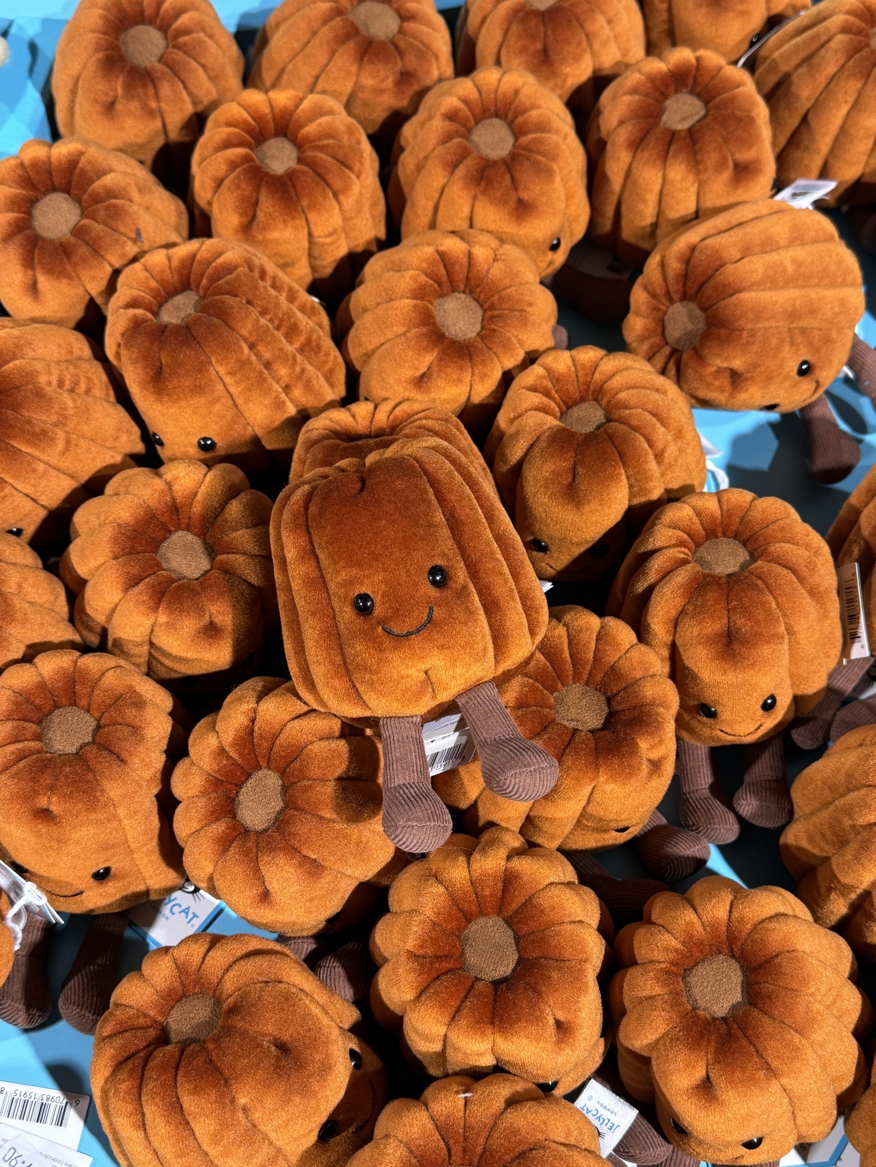 image_4D58DF95-5FEF-4DBD-9F72-FC1D1480216F_1769244261