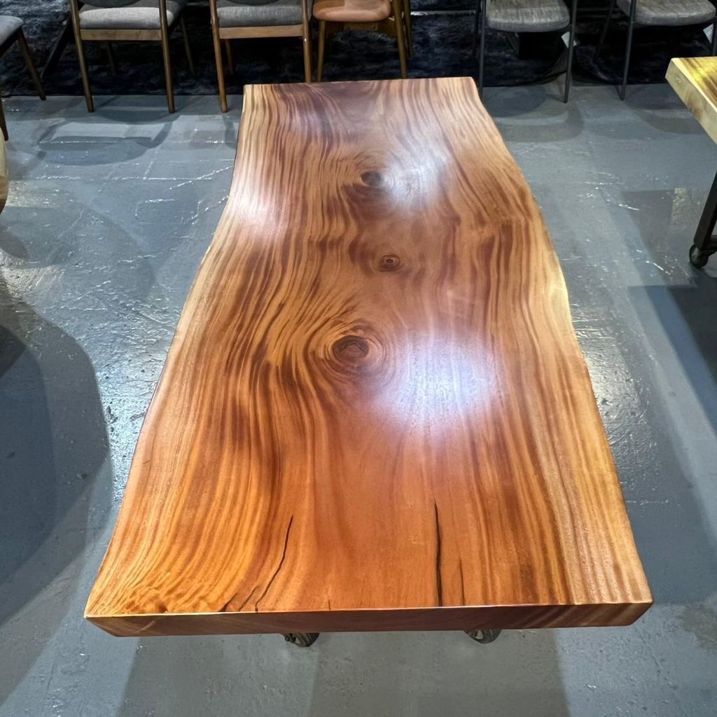 WhatsApp Image 2026-03-05 at 12.27.24 PM