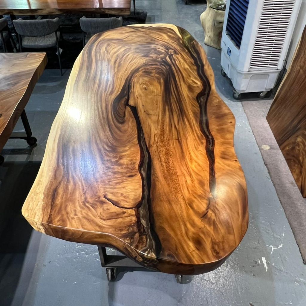 WhatsApp Image 2026-03-18 at 4.13.24 PM