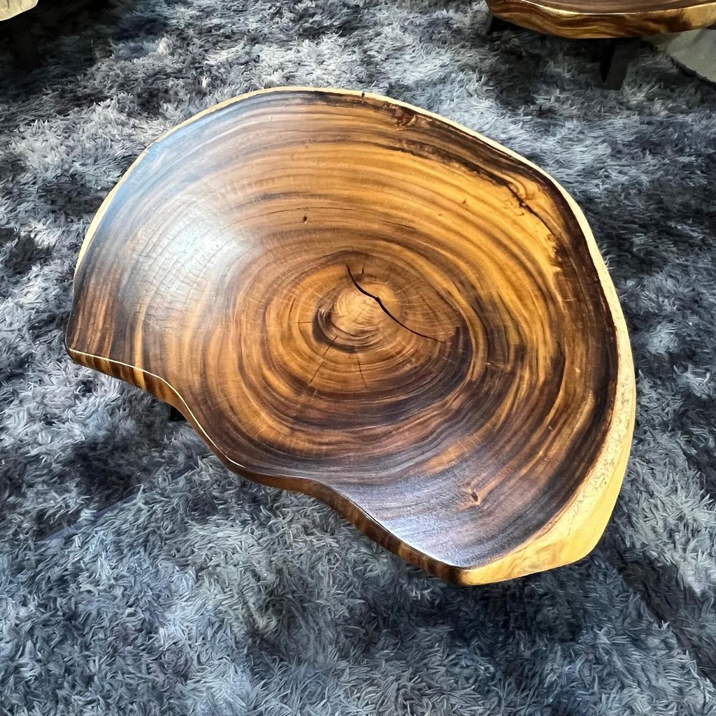 WhatsApp Image 2026-03-19 at 3.44.16 PM