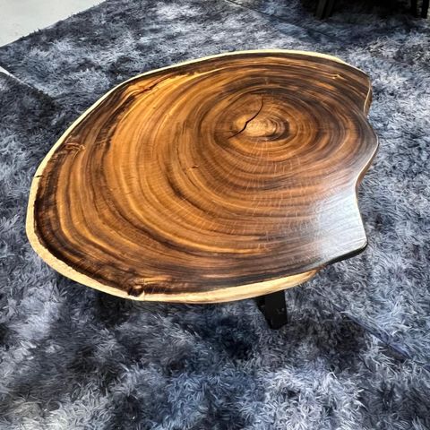 WhatsApp Image 2026-03-19 at 3.44.20 PM