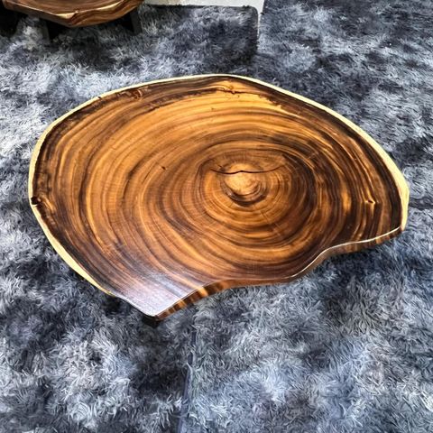 WhatsApp Image 2026-03-19 at 3.44.19 PM