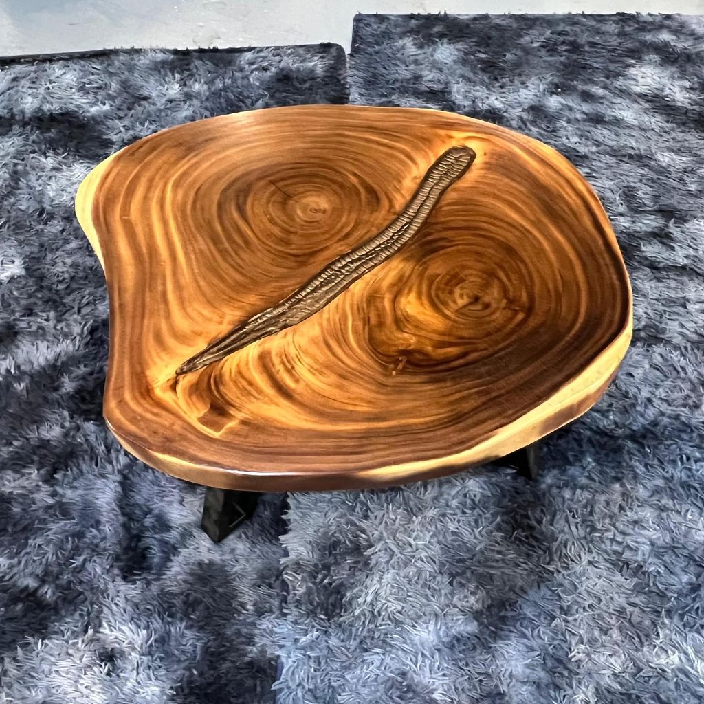 WhatsApp Image 2026-03-19 at 3.44.20 PM