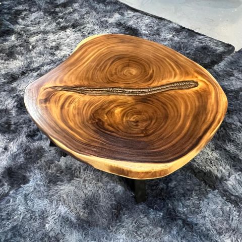 WhatsApp Image 2026-03-19 at 3.44.20 PM (3)