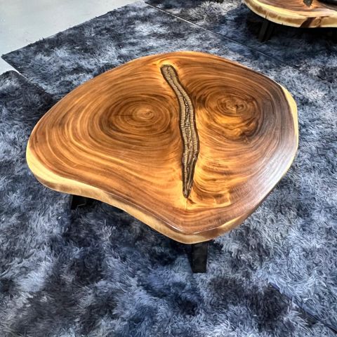 WhatsApp Image 2026-03-19 at 3.44.20 PM (1)