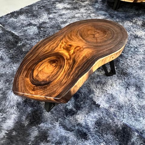 WhatsApp Image 2026-03-19 at 3.44.20 PM (1)