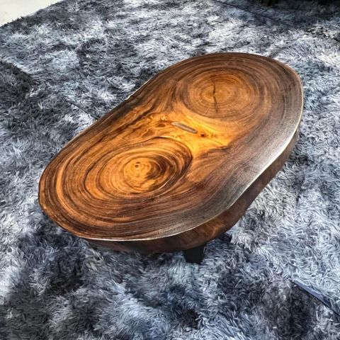 WhatsApp Image 2026-03-19 at 3.44.20 PM (1)