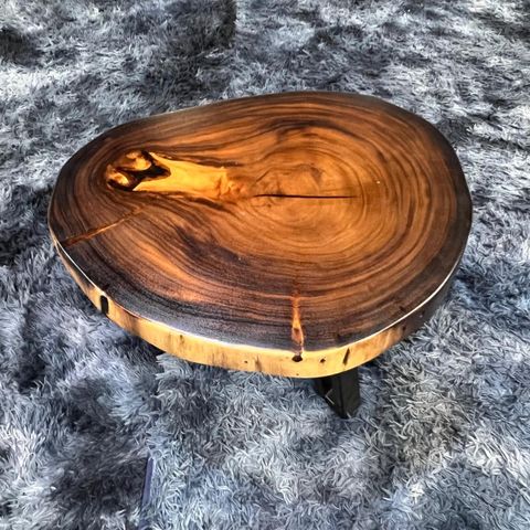 WhatsApp Image 2026-03-19 at 3.44.20 PM