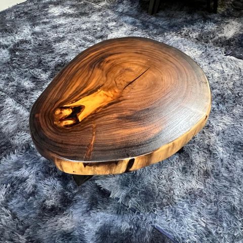 WhatsApp Image 2026-03-19 at 3.44.20 PM (1)