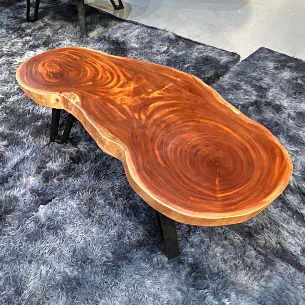 WhatsApp Image 2026-03-19 at 3.44.22 PM