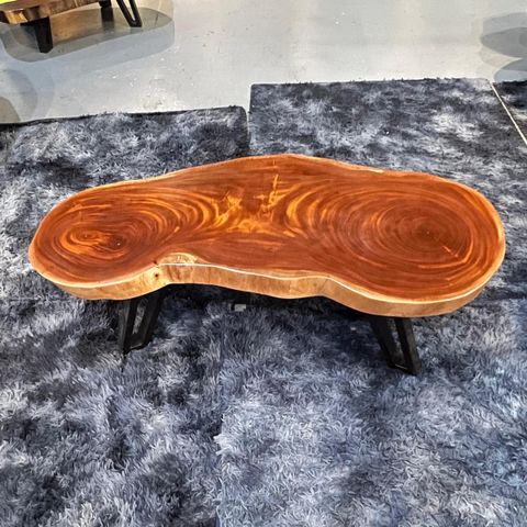 WhatsApp Image 2026-03-19 at 3.44.22 PM (1)