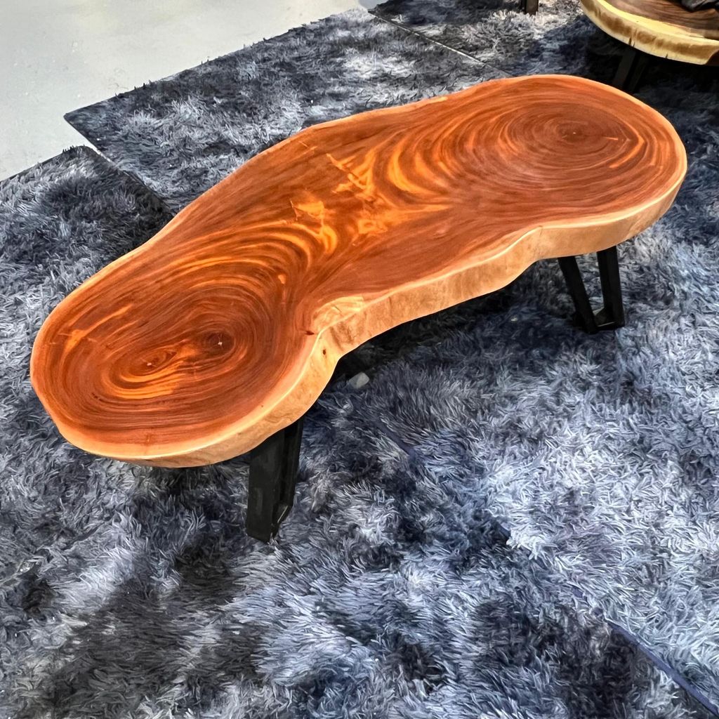 WhatsApp Image 2026-03-19 at 3.44.22 PM (2)