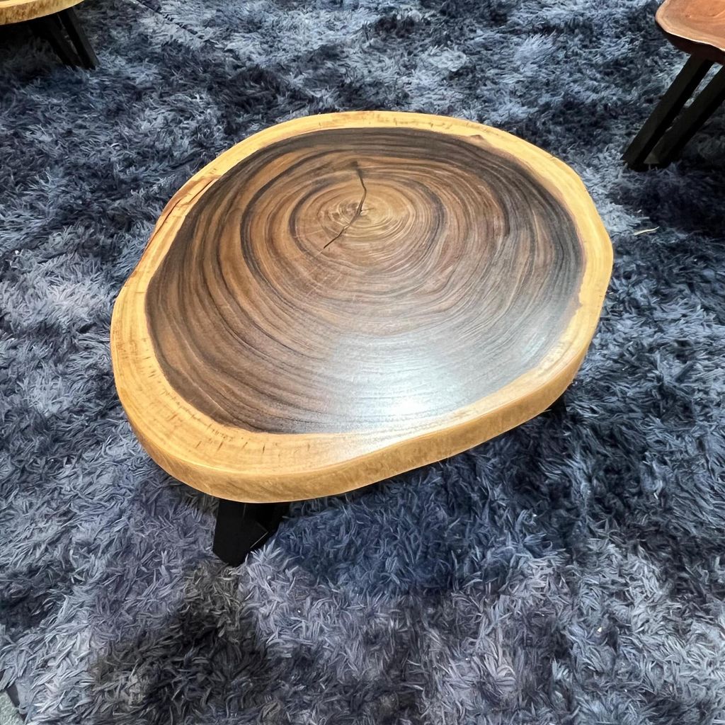 WhatsApp Image 2026-03-19 at 3.44.22 PM (1)