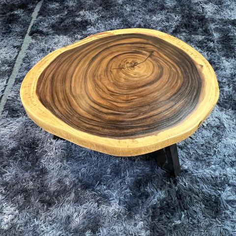 WhatsApp Image 2026-03-19 at 3.44.22 PM