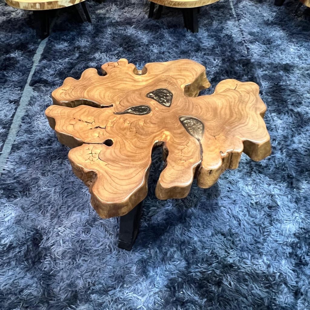 WhatsApp Image 2026-03-19 at 3.44.22 PM