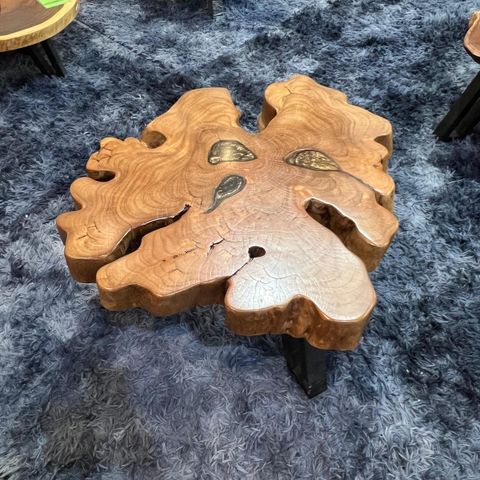 WhatsApp Image 2026-03-19 at 3.44.22 PM (1)