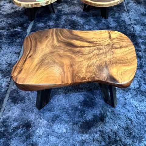 WhatsApp Image 2026-03-19 at 3.44.22 PM