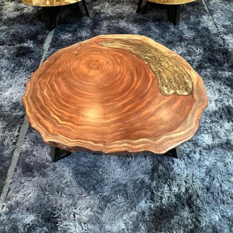 WhatsApp Image 2026-03-19 at 3.44.22 PM