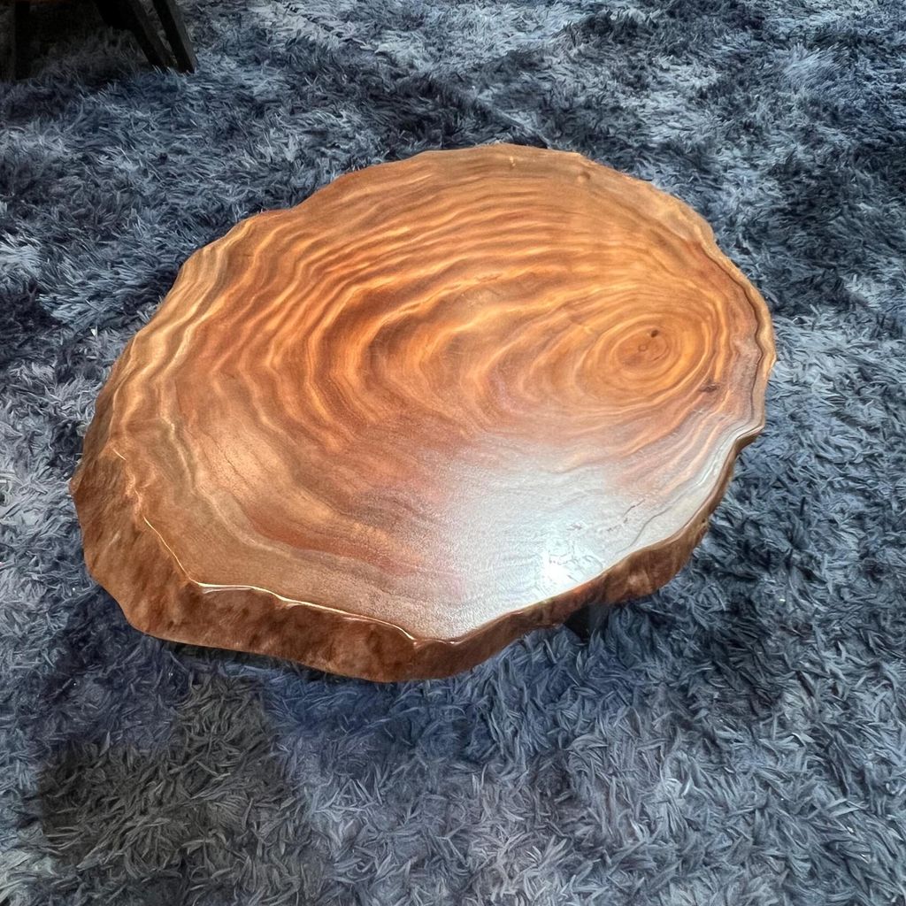 WhatsApp Image 2026-03-19 at 3.44.22 PM (1)