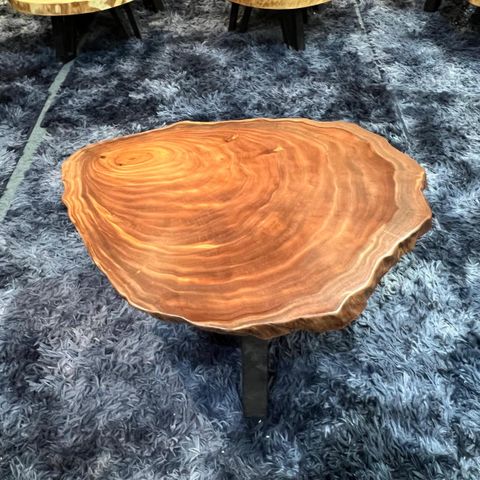 WhatsApp Image 2026-03-19 at 3.44.22 PM