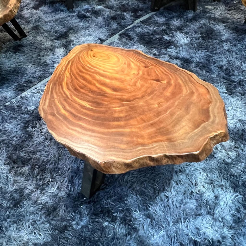 WhatsApp Image 2026-03-19 at 3.44.22 PM (3)