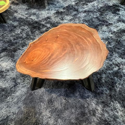 WhatsApp Image 2026-03-19 at 3.44.22 PM (1)