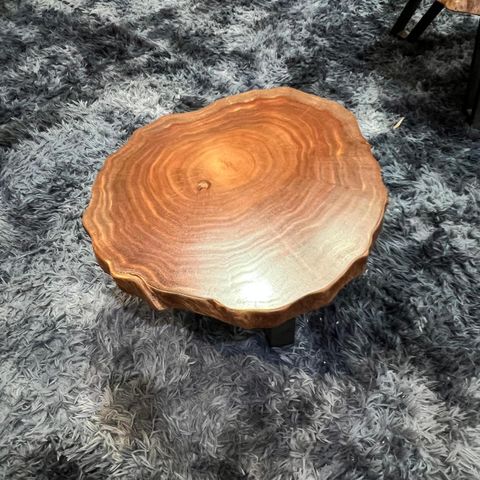 WhatsApp Image 2026-03-19 at 3.44.22 PM (1)