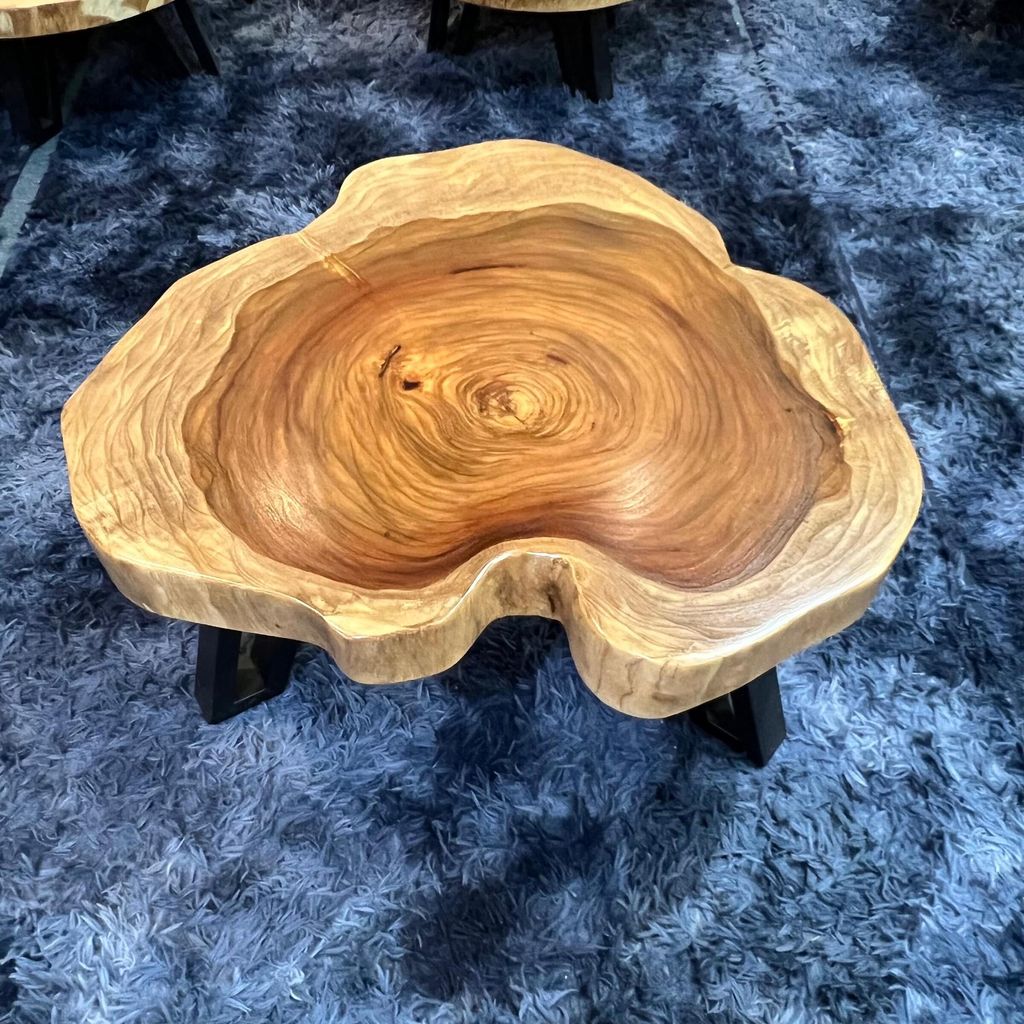 WhatsApp Image 2026-03-19 at 3.44.22 PM