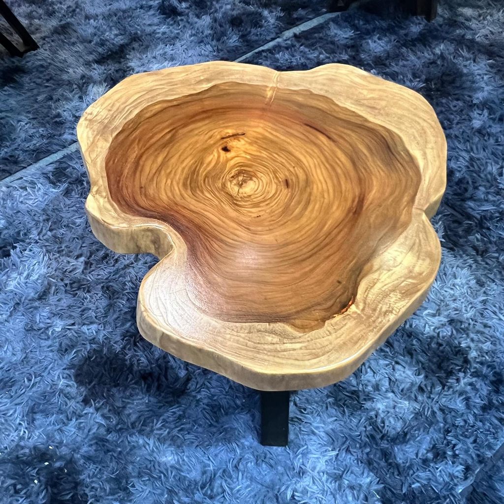 WhatsApp Image 2026-03-19 at 3.44.22 PM (3)