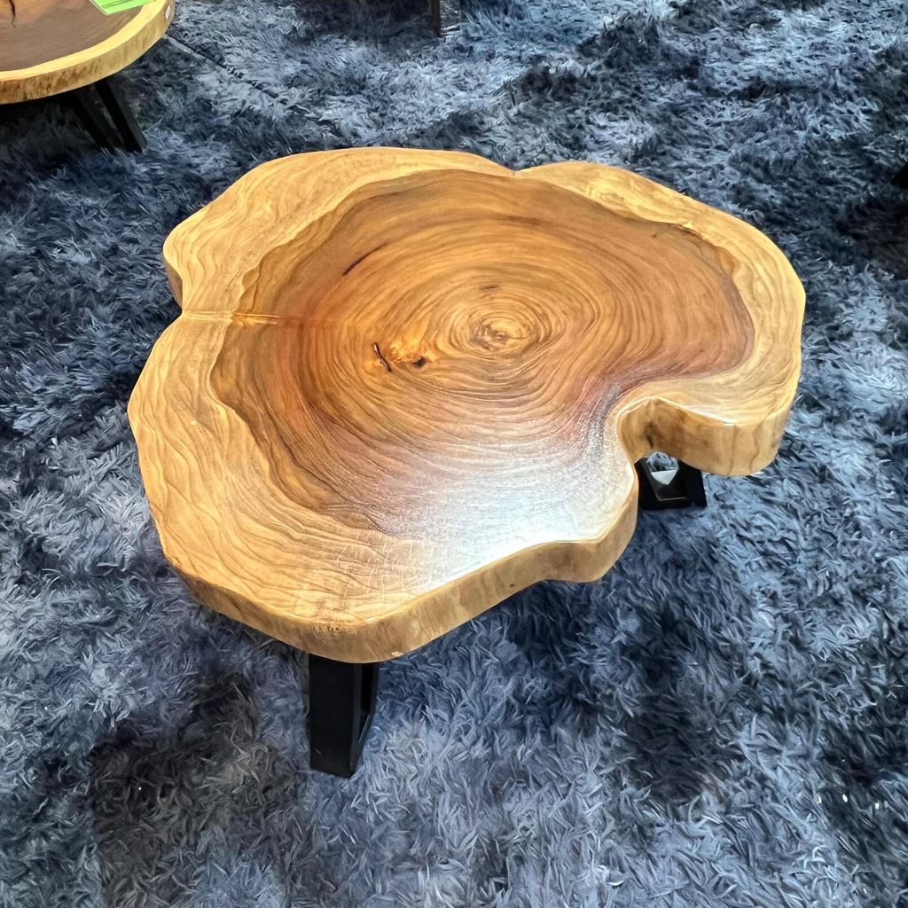 WhatsApp Image 2026-03-19 at 3.44.22 PM (1)