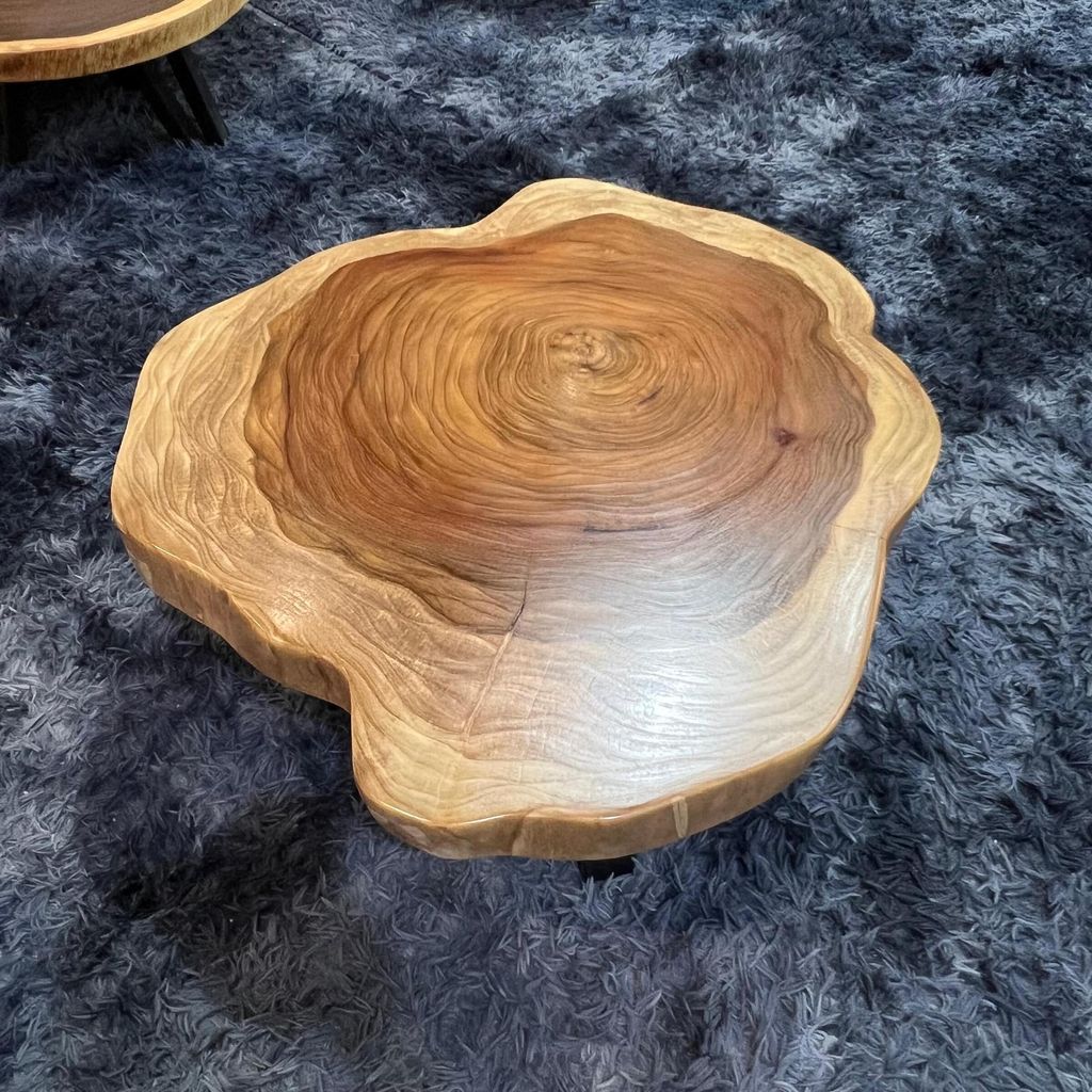 WhatsApp Image 2026-03-19 at 3.44.23 PM (1)