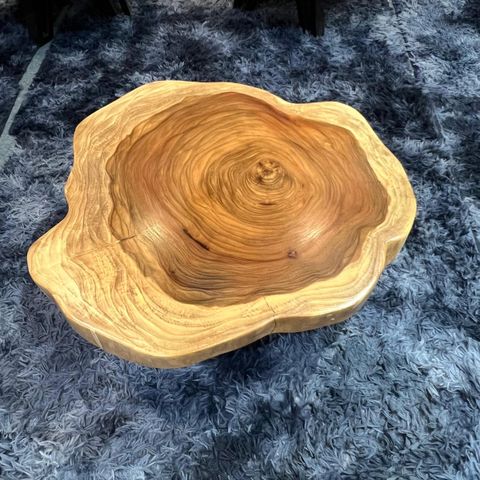 WhatsApp Image 2026-03-19 at 3.44.23 PM